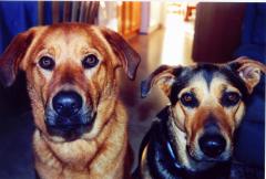 The two that own me